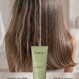 Condicionador para cabelo tratado sem brilho 250 ml
